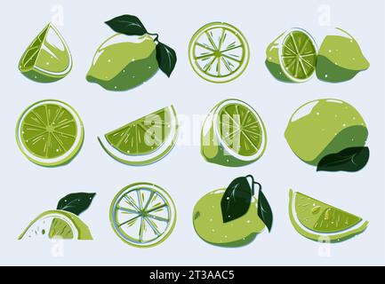 Jeu de lime tranchée. Cartoon entiers d'agrumes biologiques, segments de zeste de citron et de citron vert dans un style plat, éléments d'alimentation sains. Collection isolée de vecteurs. Plante aigre verte pour cocktail mojito Illustration de Vecteur