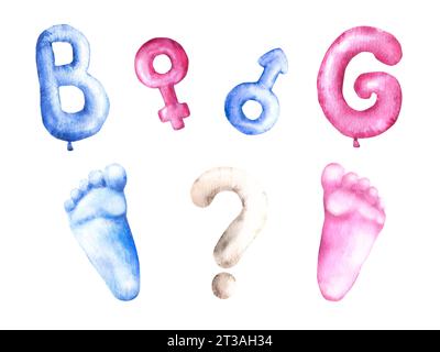 Le genre révèle la fête ensemble lettres B et G, Mars et Vénus genre chant, empreinte, point d'interrogation. Bébé garçon ou fille, lui ou elle, fête d'anniversaire Aquarelle Banque D'Images