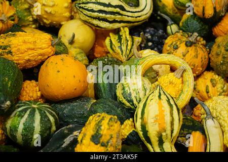 Une image de nature morte d'une variété de fruits et légumes aux couleurs vives disposés dans un affichage soigné Banque D'Images