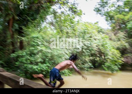 Cambodge, Kampong Phluk, les enfants plongent dans la rivière gonflée Banque D'Images