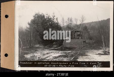 Contrat no 62, compensation des branches du Moyen-Orient inférieur et du réservoir de Quabbin, Ware, New Salem, Petersham et Hardwick, Treedozer en opération, abattant un pin, Enfield, Massachusetts, 21 décembre 1938 Banque D'Images