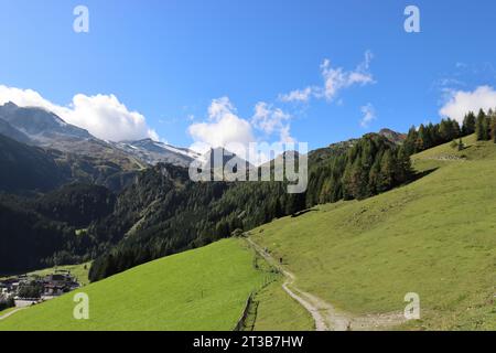 Beau sentier de randonnée près de Hintertux, qui mène à travers des prairies alpines verdoyantes Banque D'Images
