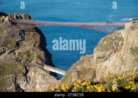 Château de Tintagel, Cornouailles, avec vue sur la mer Banque D'Images