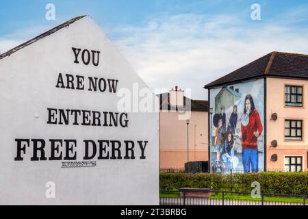 Les peintures murales de Derry, en Irlande du Nord, sont une forme unique et puissante d'art public qui raconte l'histoire du passé troublé de la ville. Banque D'Images