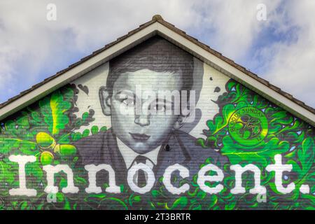 Les peintures murales de Derry, en Irlande du Nord, sont une forme unique et puissante d'art public qui raconte l'histoire du passé troublé de la ville. Banque D'Images