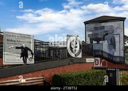 Les peintures murales de Derry, en Irlande du Nord, sont une forme unique et puissante d'art public qui raconte l'histoire du passé troublé de la ville. Banque D'Images