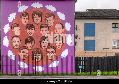 Les peintures murales de Derry, en Irlande du Nord, sont une forme unique et puissante d'art public qui raconte l'histoire du passé troublé de la ville. Banque D'Images