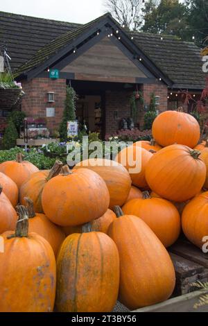 De grandes citrouilles récoltées s'entassaient devant la boutique de la ferme Hollies dans le Cheshire Banque D'Images