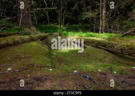 Maison fosse et poutres de soutènement de toit d'une vieille maison longue dans le site de l'ancien village de K'uuna Linagaay, aka Skedans, sur Louise Island, aka K'uuna Gwaay y Banque D'Images