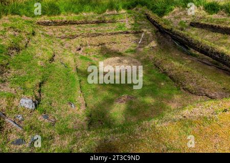 Maison fosse et poutres de soutien d'une ancienne maison longue dans l'ancien site du village de K'uuna Linagaay, alias Skedans, sur l'île Louise, alias K'uuna Gwaay yaay, Banque D'Images