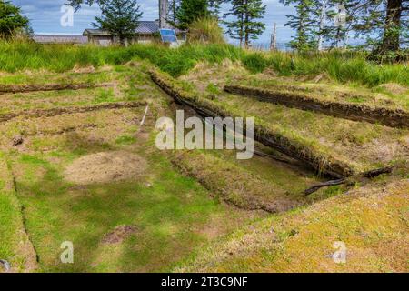 Maison fosse et poutres de soutien d'une ancienne maison longue dans l'ancien site du village de K'uuna Linagaay, alias Skedans, sur l'île Louise, alias K'uuna Gwaay yaay, Banque D'Images