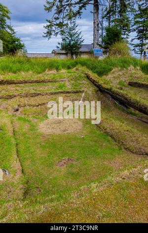 Maison fosse et poutres de soutien d'une ancienne maison longue dans l'ancien site du village de K'uuna Linagaay, alias Skedans, sur l'île Louise, alias K'uuna Gwaay yaay, Banque D'Images