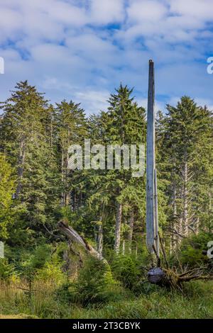 Totems au site du patrimoine mondial de l'UNESCO SGang Gwaay Llnagaay, un ancien village situé dans la réserve de parc national Gwaii Haanas, Haida Gwaii, col britannique Banque D'Images