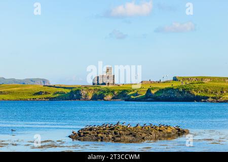 Île de Canna, Hébrides intérieures, Écosse avec des oiseaux de mer reposant sur un rocher et la rue désacralisée Église Edwards sur l'île voisine de Sanday. Hor Banque D'Images