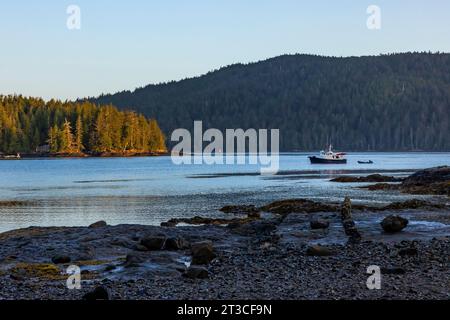 Matinée paisible à l'ancienne station baleinière Rose Harbour sur l'île Kunghit, dans la réserve de parc national Gwaii Haanas, Haida Gwaii, Colombie-Britannique, Cana Banque D'Images