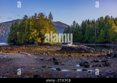 Matinée paisible à l'ancienne station baleinière Rose Harbour sur l'île Kunghit, dans la réserve de parc national Gwaii Haanas, Haida Gwaii, Colombie-Britannique, Cana Banque D'Images