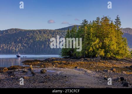 Matinée paisible à l'ancienne station baleinière Rose Harbour sur l'île Kunghit, dans la réserve de parc national Gwaii Haanas, Haida Gwaii, Colombie-Britannique, Cana Banque D'Images