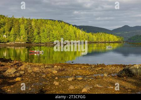 Matinée paisible à l'ancienne station baleinière Rose Harbour sur l'île Kunghit, dans la réserve de parc national Gwaii Haanas, Haida Gwaii, Colombie-Britannique, Cana Banque D'Images