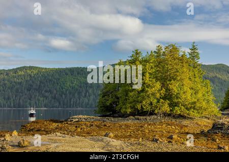 Matinée paisible à l'ancienne station baleinière Rose Harbour sur l'île Kunghit, dans la réserve de parc national Gwaii Haanas, Haida Gwaii, Colombie-Britannique, Cana Banque D'Images