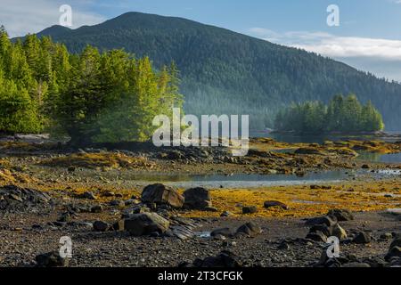 Matinée paisible à l'ancienne station baleinière Rose Harbour sur l'île Kunghit, dans la réserve de parc national Gwaii Haanas, Haida Gwaii, Colombie-Britannique, Cana Banque D'Images