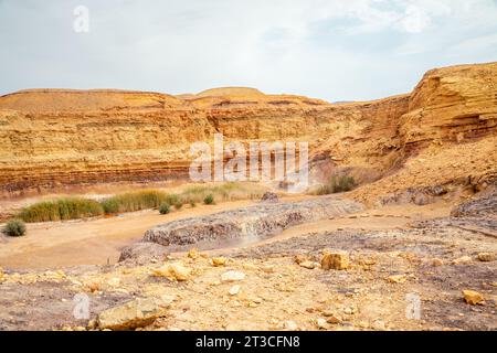 Petite oasis et panorama du paysage du désert du Néguev, Israël Banque D'Images