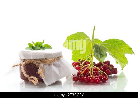 confiture de viburnum dans un bocal en verre et viburnum rouge frais isolé sur fond blanc. Banque D'Images