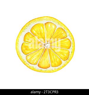 Tranche de citron aquarelle. Illustration dessinée à la main de fruits tropicaux coupés et tranchés isolés sur fond blanc. Partie d'agrumes pour clipart ou design de menu Banque D'Images