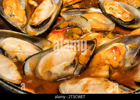 Les moules à lèvres vertes de Nouvelle-zélande (Perna canaliculus) de Nouvelle-Zélande, ont été légèrement cuites à la vapeur dans un bouillon de tomate avec du piment, photographie alimentaire Banque D'Images