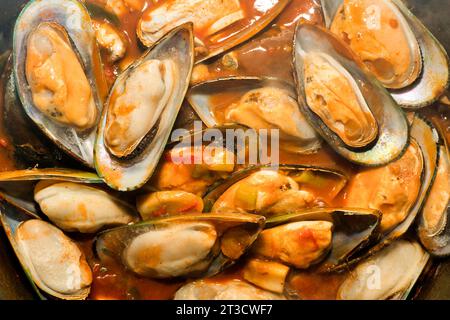 Les moules à lèvres vertes de Nouvelle-zélande (Perna canaliculus) de Nouvelle-Zélande, ont été légèrement cuites à la vapeur dans un bouillon de tomate avec du piment, photographie alimentaire Banque D'Images