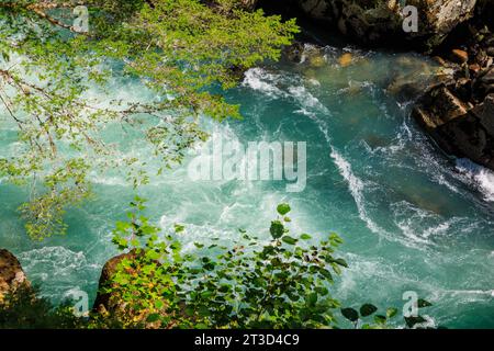 Eaux précipitées de la rivière Cheakamus en été à la périphérie de Whistler, Colombie-Britannique, Canada. Banque D'Images