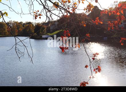 Feuilles rouges d'automne et lumière du soleil au lac Banque D'Images