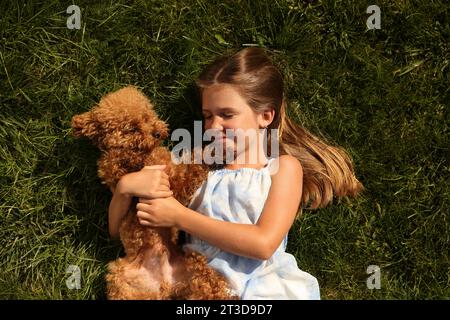 Belle fille avec chien mignon Maltipoo sur pelouse verte à l'extérieur, vue de dessus Banque D'Images