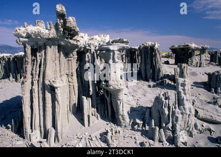 Plage de sable de la Marine à tuf, Mono Lake State Reserve, Mono Basin National Scenic Area, Californie Banque D'Images