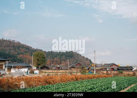 Automne de Seoak-dong ancien village traditionnel à Gyeongju, Corée Banque D'Images