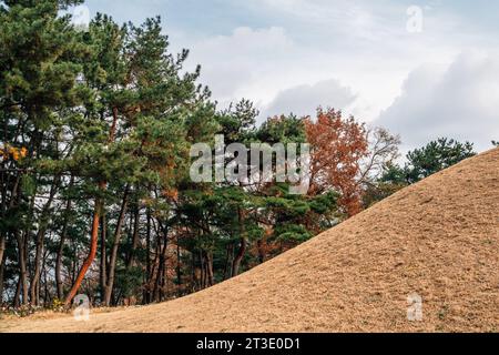 Seoak-dong anciennes tombes royales à l'automne à Gyeongju, Corée Banque D'Images