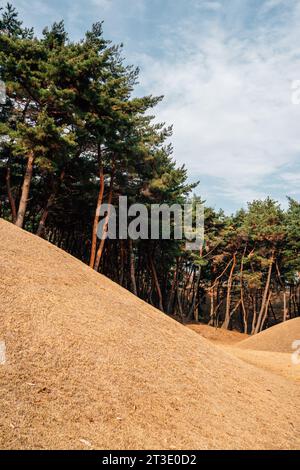 Seoak-dong anciennes tombes royales à l'automne à Gyeongju, Corée Banque D'Images