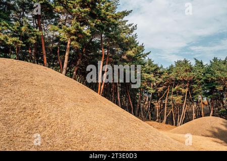 Seoak-dong anciennes tombes royales à l'automne à Gyeongju, Corée Banque D'Images