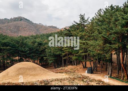 Seoak-dong anciennes tombes royales à l'automne à Gyeongju, Corée Banque D'Images