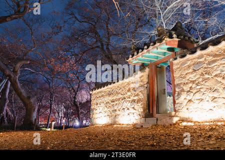 Vue nocturne de la forêt de Gyerim et de l'architecture traditionnelle à Gyeongju, Corée Banque D'Images