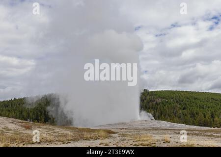 Nuages de vapeur cachant les collines derrière Old Faithful lors d'une éruption Banque D'Images