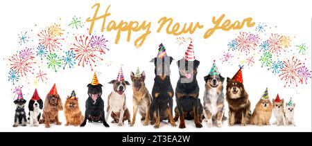 groupe de chiens devant pour la nouvelle année de fond blanc Banque D'Images
