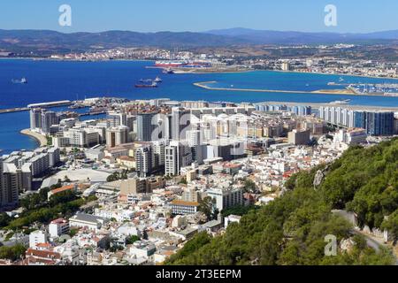 Grande-Bretagne, Gibraltar : la ville basse vue des pentes du Rocher. Sur la droite, la ville et la Marina de la Linea de la Concepcion, et t Banque D'Images