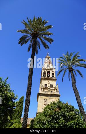 Espagne, Andalousie, Cordoue : clocher de la mosquée-cathédrale de Córdoba (la Mezquita) inscrit au patrimoine mondial de l'UNESCO vu du Pat Banque D'Images