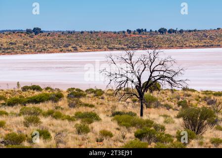 Un bac à sel ou un lac salé près du belvédère du Mont Conner, qui fait partie de la collection de lacs salés du Grand Lac Amadeus dans le territoire du Nord, en Australie Banque D'Images