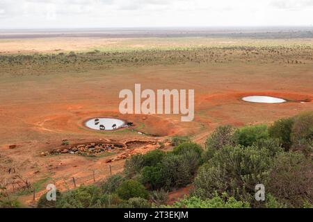 Un troupeau de buffles dans la nature à un point d'eau dans le parc national de Tsavo East, au Kenya Banque D'Images