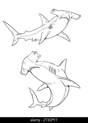 Requin marteau à colorier. Modèle pour un livre de coloriage avec des animaux marins. Page de coloriage. Banque D'Images