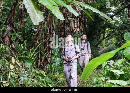 (231025) -- HAIKOU, 25 octobre 2023 (Xinhua) -- Li Wenyong (à gauche) et son collègue patrouillent dans la zone de Bawangling du parc national de la forêt tropicale humide de Hainan, dans la province de Hainan, dans le sud de la Chine, le 18 octobre 2023. Li Wenyong est un garde forestier du parc national de la forêt tropicale de Hainan dans la province insulaire du sud de la Chine. Il vit dans le village de Miao, dans le canton de Qingsong, qui est sous la juridiction du comté autonome de Baisha Li, et le village le plus proche de la zone de Bawangling du parc. C'est le cœur du pays du gibbon de Hainan. Les singes à crête noire ne peuvent être trouvés qu'à Hainan, et comme ils mettent rarement les pieds Banque D'Images