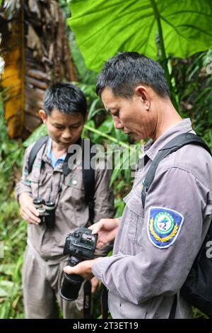 (231025) -- HAIKOU, 25 octobre 2023 (Xinhua) -- Li Wenyong (à droite) et son collègue vérifient une photo sur son appareil photo dans la région de Bawangling du parc national de la forêt tropicale de Hainan, province de Hainan, dans le sud de la Chine, le 18 octobre 2023. Li Wenyong est un garde forestier du parc national de la forêt tropicale de Hainan dans la province insulaire du sud de la Chine. Il vit dans le village de Miao, dans le canton de Qingsong, qui est sous la juridiction du comté autonome de Baisha Li, et le village le plus proche de la zone de Bawangling du parc. C'est le cœur du pays du gibbon de Hainan. Les singes à crête noire ne peuvent être trouvés qu'à Hainan, et Banque D'Images