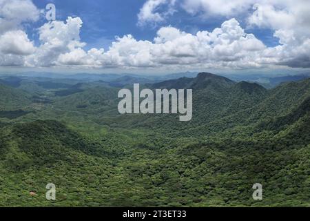 (231025) -- HAIKOU, 25 octobre 2023 (Xinhua) -- cette photo aérienne prise le 29 juin 2022 montre la région de Bawangling du parc national de la forêt tropicale de Hainan, dans la province de Hainan, dans le sud de la Chine. Li Wenyong est un garde forestier du parc national de la forêt tropicale de Hainan dans la province insulaire du sud de la Chine. Il vit dans le village de Miao, dans le canton de Qingsong, qui est sous la juridiction du comté autonome de Baisha Li, et le village le plus proche de la zone de Bawangling du parc. C'est le cœur du pays du gibbon de Hainan. Les singes à crête noire ne peuvent être trouvés qu'à Hainan, et comme ils mettent rarement le pied sur le g. Banque D'Images