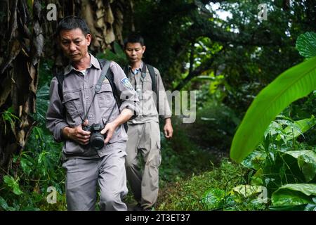 (231025) -- HAIKOU, 25 octobre 2023 (Xinhua) -- Li Wenyong (à gauche) et son collègue patrouillent dans la zone de Bawangling du parc national de la forêt tropicale humide de Hainan, dans la province de Hainan, dans le sud de la Chine, le 18 octobre 2023. Li Wenyong est un garde forestier du parc national de la forêt tropicale de Hainan dans la province insulaire du sud de la Chine. Il vit dans le village de Miao, dans le canton de Qingsong, qui est sous la juridiction du comté autonome de Baisha Li, et le village le plus proche de la zone de Bawangling du parc. C'est le cœur du pays du gibbon de Hainan. Les singes à crête noire ne peuvent être trouvés qu'à Hainan, et comme ils mettent rarement les pieds Banque D'Images